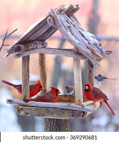 Rustic style birds feeder