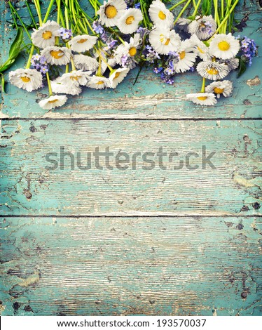 rustic summer background white
