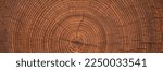 rustic table with a pattern of annual rings. wood texture cut stump background