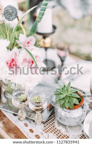 Rustic table setting with succulents, flowers , decor