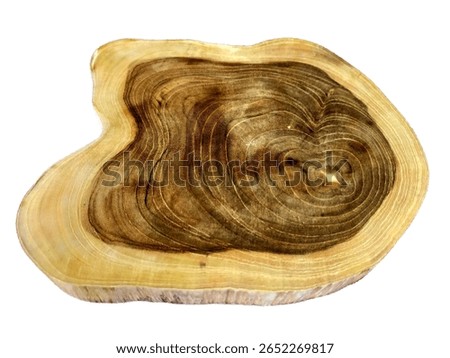 Rustic Teak Wood Slice Shaped as Cutting Board – PNG Isolated Object