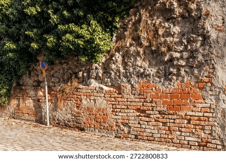 Rustic texture of an old brick wall merging with rough stone and overgrown green ivy. Urban architectural background featuring historic masonry, weathered surfaces, and a cobblestone street