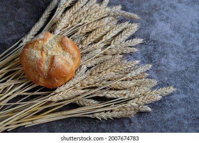 Rustic Traditional Bread With Wheat Grain Ears On Dark Texture Background. Homemade Baking, Whole Wheat Bread. Symbol Of Loaf Mass, Lammas, Lughnasadh Pagan Holiday. 