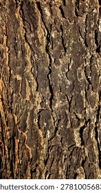 Rustic Tree Bark Texture Background with Green Moss and Deep Crevices