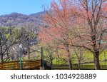 Rustic views of Helen GA