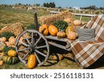 A rustic wagon filled with colorful pumpkins sits in a field surrounded by hay bales and green foliage. The warm autumn sun casts gentle light over the scene, emphasizing the seasonal ambiance.