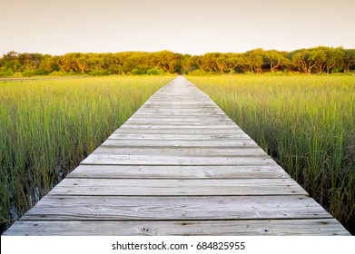 Rustic walkway over marsh land outside in the summer with warm green grass. Wood planks leading to distance. Sun setting with warm tones.