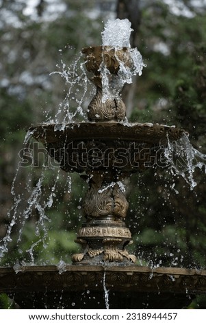 RUSTIC WATER FOUNTAIN IN NATURE