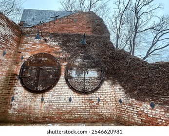 A rustic, weathered brick wall featuring circular iron structures and creeping dried vines. - Powered by Shutterstock