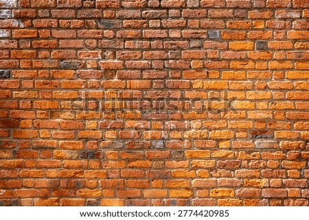 A rustic weathered red brick wall background featuring aged clay blocks with varied orange and crimson tones and rough mortar joints under bright natural sunlight.
This high-resolution photograph captures the timeless essence of a traditional masonry structure, showcasing a textured expanse of an old brickwork facade. The image reveals a rich tapestry of warm earthy hues, ranging from deep burnt sienna and terracotta to vibrant amber and pale ochre. Each individual brick displays its own unique character, marked by the passage of time through chipped edges, porous surfaces, and subtle variations in size. The historical aesthetic is further emphasized by the rugged mortar lines that weave between the rows, some deeply recessed while others are flush with the surface, creating a compelling rhythmic pattern.
The lighting plays a crucial role in this composition, casting soft shadows that accentuate the three-dimensional quality of the stone-like texture. Subtle remnants of past markings and natural weathering add an authentic urban or industrial feel to the scene, making it an ideal backdrop for architectural concepts, vintage themes, or rustic interior design projects. The horizontal alignment of the courses provides a sense of stability and craftsmanship, reflecting the enduring nature of classic construction methods. This versatile visual asset is perfect for designers looking for a high-quality organic texture that balances complexity with a clean, professional aesthetic. Whether used as a base for digital art or a stand-alone environmental detail, this weathered partition tells a story of durability and rustic charm.