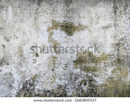 A rustic, weathered wall, featuring a striking texture of peeling paint and discoloration. The surface displays an appealing blend of white, green, and brown tones, creating an organic.