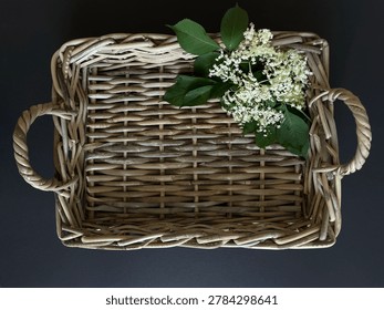 Rustic wicker tray with elderflower and copy space for organic product mockup on dark background. Flat lay. Top view of empty rectangular woven rattan serving basket decorated with fresh blooming white elderflowers (Sambucus nigra). Minimalist blank template for spring marketing campaign, homemade food concept, eco friendly packaging, or wellness branding.