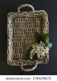 Rustic wicker tray with elderflower and copy space for organic product mockup on dark background. Flat lay. Top view of empty rectangular woven rattan serving basket decorated with fresh blooming white elderflowers (Sambucus nigra). Minimalist blank template for spring marketing campaign, homemade food concept, eco friendly packaging, or wellness branding.