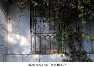 A rustic window, framed with creeping vines, reveals a glimpse of untold stories.