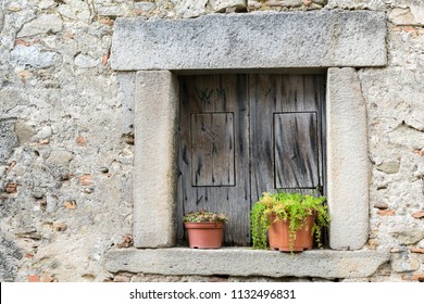 Rustic Window with plants