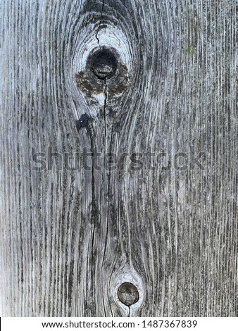 tropical bark Tree bark