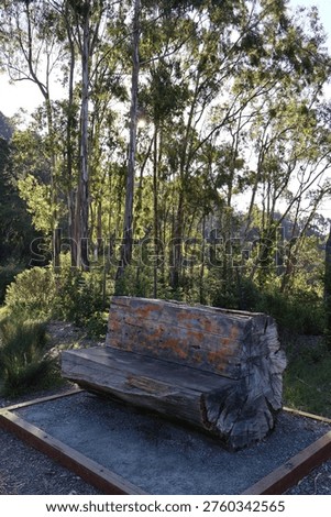 Rustic wood bench in forest surrounded by tall eucalyptus trees, with sunlight filtering through their leaves creating a warm and serene atmosphere. The bench was carved from the forest's own large tree, creating an inviting spot for rest or contemplation in nature. 

This bench can be found in Sibley Volcanic Regional Preserve in the San Francisco Bay Area, specifically the East Bay region next to Berkeley.