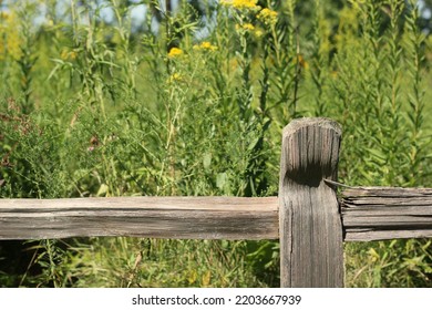 Rustic Wood Fence Post Creating A Boundary In The Overgrown Summer Garden.