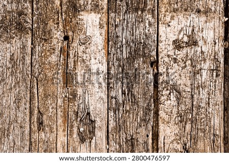 Rustic wood planks create beautiful textured backdrop. Weathered surface features deep cracks, small holes and knots. Aged timber offers warm organic feeling to creative website design.