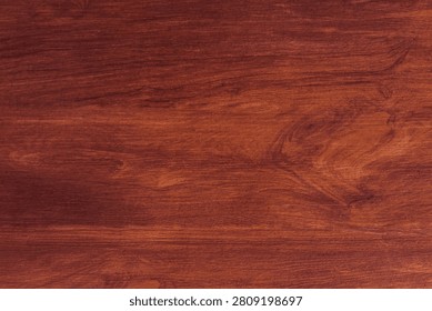 Rustic Wood Texture Background Collection with Natural Timber Grain
High Quality Multi Colored Planks and Weathered Abstract Surfaces