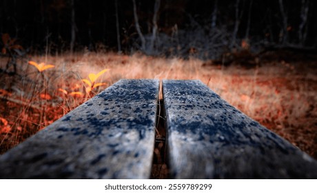 Rustic Wooden Bench in Autumn - Powered by Shutterstock