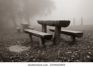 Rustic Wooden Benches in a Foggy Park Setting. Serene image of rustic wooden benches in a foggy park landscape, evoking feelings of tranquility, solitude, and nature's beauty. - Powered by Shutterstock