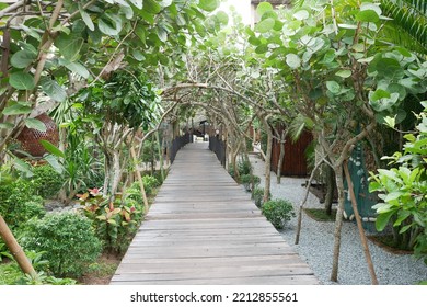 Rustic Wooden Bridge Walk Way Shaded And Silhouetted By Trees And Jungle Resort.