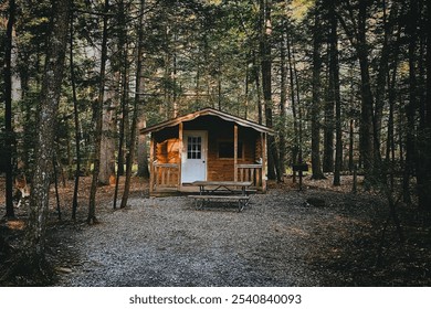 A rustic wooden cabin surrounded by dense forest, featuring a picnic table and grill, evoking a serene outdoor retreat. - Powered by Shutterstock