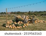 A rustic wooden cart overflowing with various pumpkins and hay bales rests on a grassy field under a clear blue sky. Decorative string lights enhance the relaxed autumn atmosphere in the background.