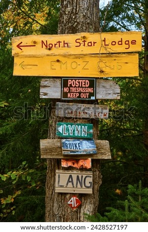 Rustic Wooden Directional Signs on Tree in Woodland