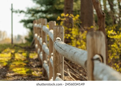 Rustic wooden fence lining a tranquil forest path - Powered by Shutterstock