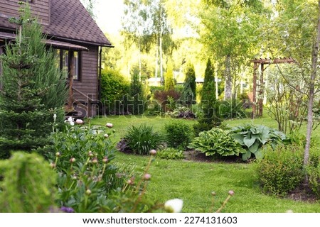 Rustic wooden house and cottage garden view in summer. Hostas, conifers and flowers. Country living concept. 