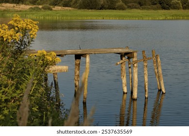 A rustic wooden pier extends into a calm lake, surrounded by lush greenery. The pier's weathered wooden planks and posts reflect in the still water, creating a serene and picturesque scene.  - Powered by Shutterstock