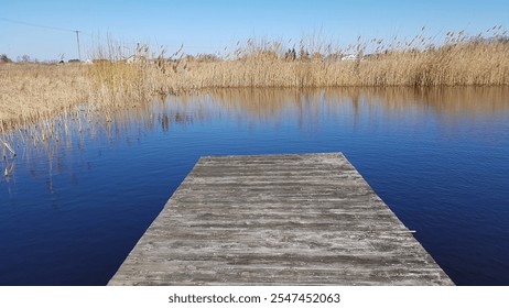 A rustic wooden pier extends over a calm blue water surface surrounded by tall golden reeds on a bright sunny day, capturing the tranquil beauty of a peaceful lakeside scene. - Powered by Shutterstock