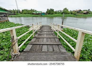 Rustic Wooden Pier Overlooking Riverside Scene with Water Hyacinths. It has white railings stretches over water and leading down to a peaceful riverside view. - Powered by Shutterstock