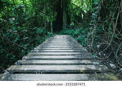 A rustic wooden plank pathway leads through a dense tropical jungle. Lush greenery envelops the scene, creating a tranquil and serene atmosphere. Perfect for adventure and nature themes. - Powered by Shutterstock