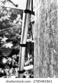A rustic wooden pole stands in sharp focus next to a metallic telescopic ladder in a lush garden.
