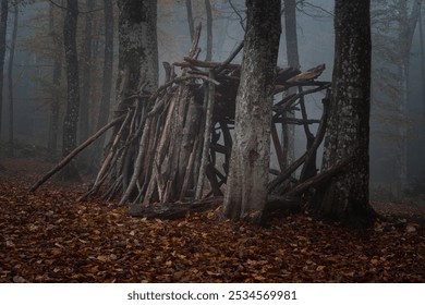 Rustic Wooden Shelter in Misty Autumn Forest. A rustic wooden shelter made of logs stands in a misty autumn forest. Surrounded by tall trees and fallen leaves, the scene evokes mystery and tranquility - Powered by Shutterstock