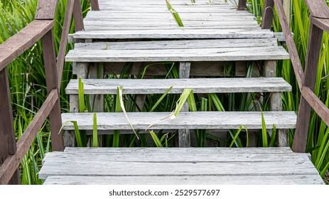 A rustic wooden staircase winds its way through a dense, tropical garden. - Powered by Shutterstock