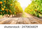 Rustic wooden table top with blurred background of the orange fruit plantation farm in summer sun