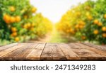 Rustic wooden table top with blurred background of the orange fruit plantation farm in summer sun