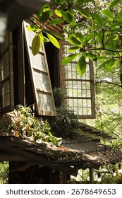 A rustic, wooden window with multiple panes is opened, providing a view of the lush, green outdoors. The building's roof is visible, with a small potted plant resting on it.