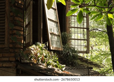 A rustic, wooden window with multiple panes is opened, providing a view of the lush, green outdoors. The building's roof is visible, with a small potted plant resting on it.