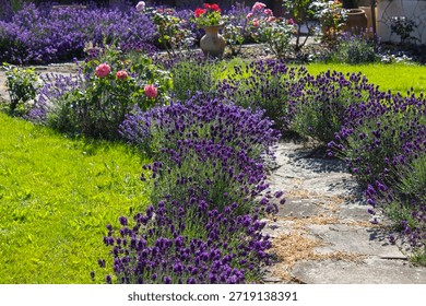 rustical garden - stone paved garden path and flowers - summertime