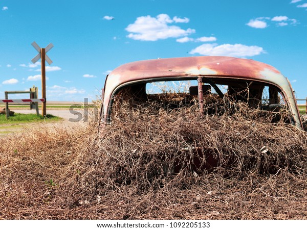 Rusting car lies\
partially buried within a farmer\'s field while roots and vines\
spill from the broken\
windows
