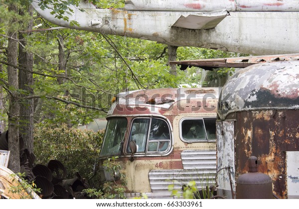 Rusting old\
buses and airplanes in wooded\
junkyard.