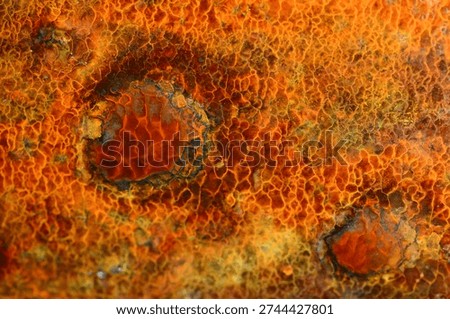 a rusting process that forms a certain structure and displays images and shapes in a rusty process