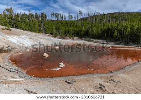 Rust-Red Thermal Pool of Echinus Geyser, Norris Geyser Basin, Yellowstone National Park, Wyoming, USA
