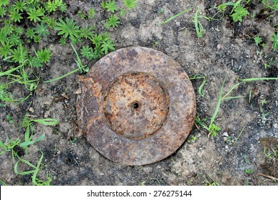 Rusty anti-tank mine on grass
