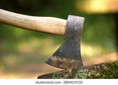 Rusty axe head pushed into a mossy log with a worn wooden handle, captured in soft natural light. Evokes outdoor woodcutting, craftsmanship, rural work and timeless tool use in a forest setting.